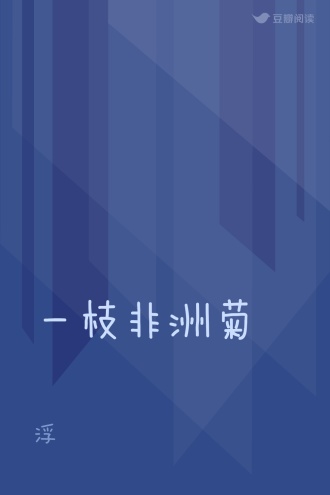一枝非洲菊