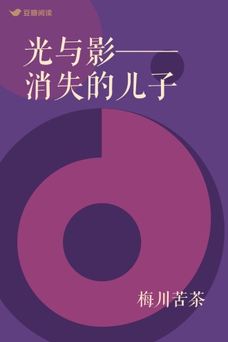 光与影——消失的儿子