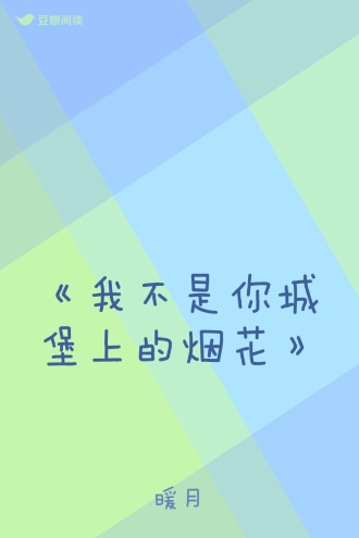 《我不是你城堡上的烟花》