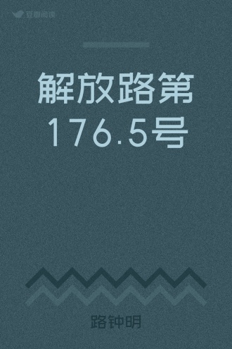 解放路第176.5号