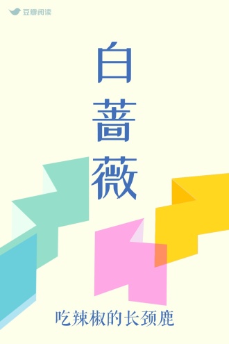 白蔷薇