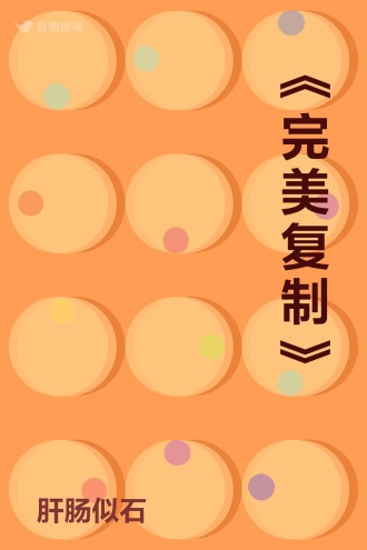 《完美复制》