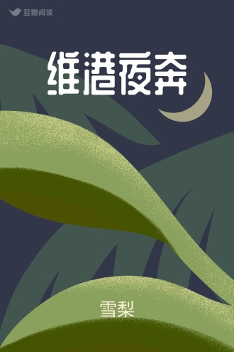 维港夜奔