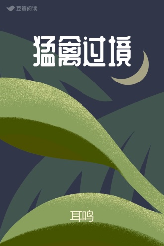 猛禽过境