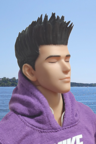 仙枫落樱