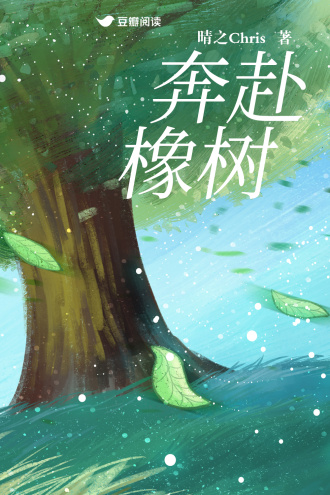 奔赴橡树