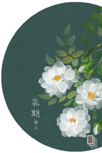 花期