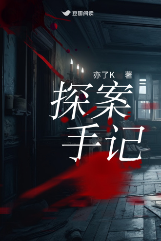 探案手记