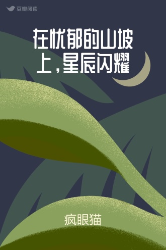 在忧郁的山坡上，星辰闪耀