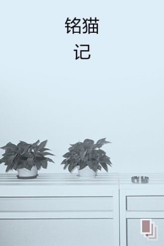 铭猫记