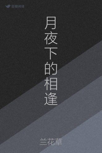 月夜下的相逢