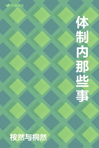 体制内那些事