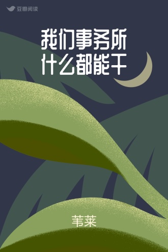 我们事务所什么都能干