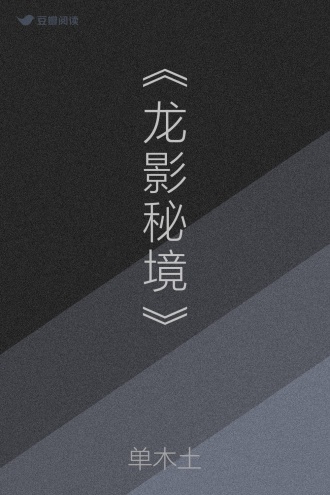 《龙影秘境》