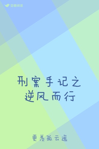 刑案手记之逆风而行