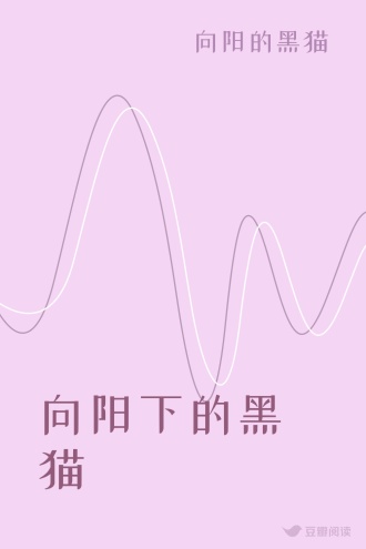 向阳下的黑猫
