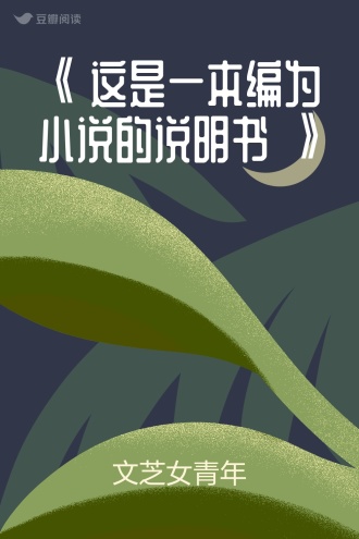《 这是一本编为小说的说明书 》