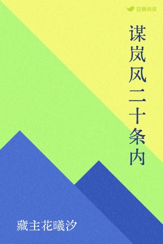 谋岚风二十条内