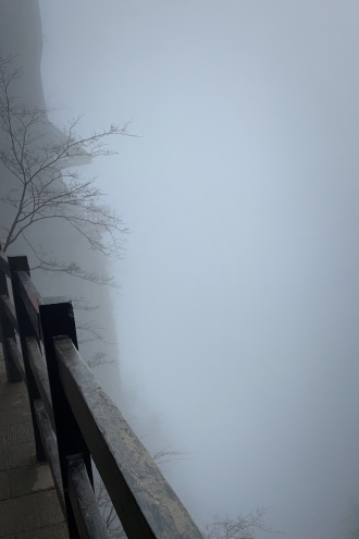 恶毒童话