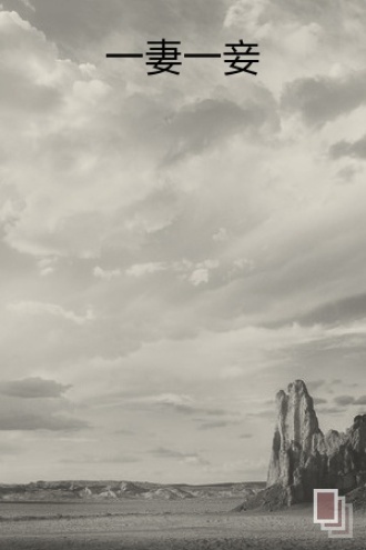 一妻一妾