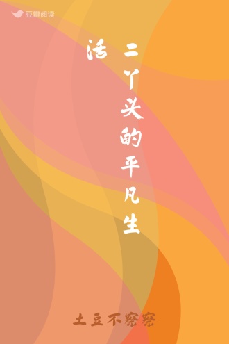 二丫头的平凡生活