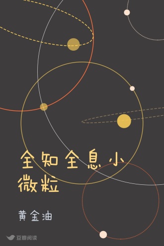 全知全息小微粒