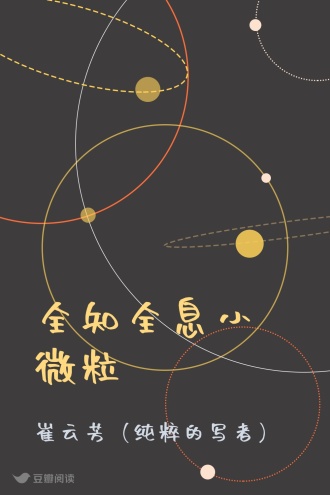 全知全息小微粒