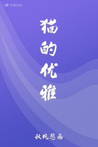 猫的优雅