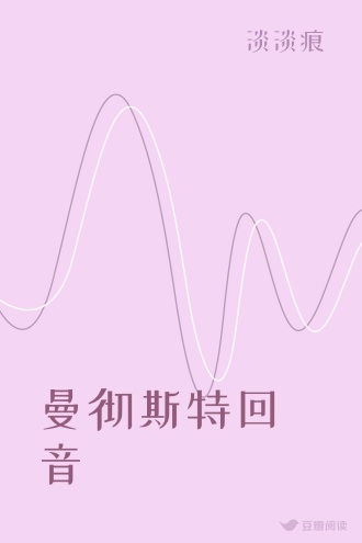 曼彻斯特回音