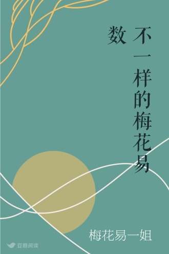 不一样的梅花易数