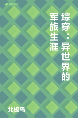 综穿：异世界的军旅生涯