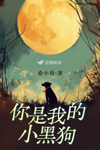 你是我的小黑狗