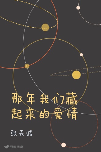 那年我们藏起来的爱情