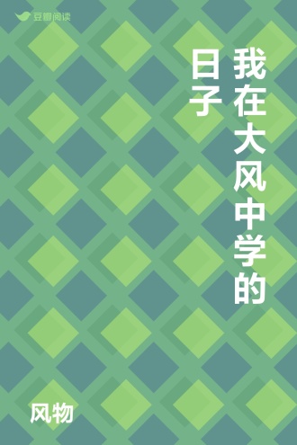 我在大风中学的日子