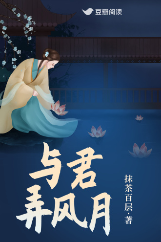 与君弄风月