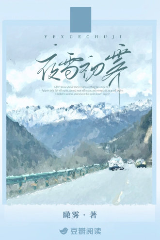 夜雪初霁