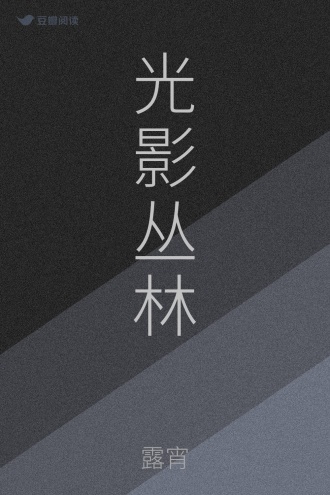 光影丛林