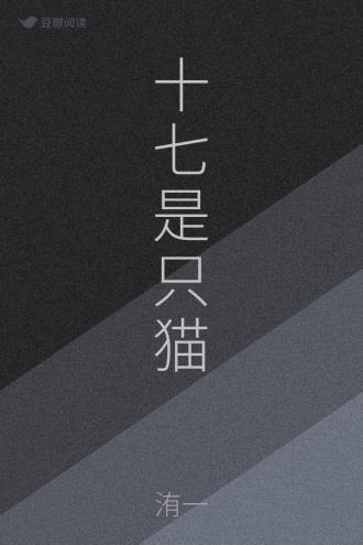 十七是只猫