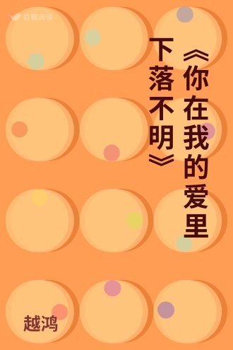 《你在我的爱里下落不明》