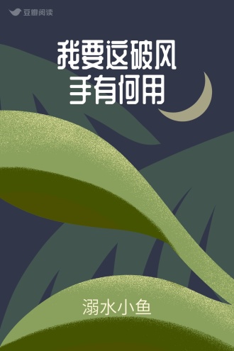 我要这破风手有何用