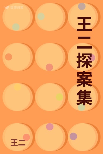 王二探案集