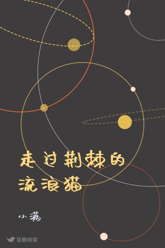 走过荆棘的流浪猫