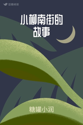 小柳南街的故事