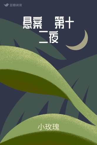 悬案·第十二夜