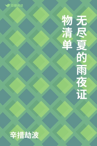 无尽夏的雨夜证物清单