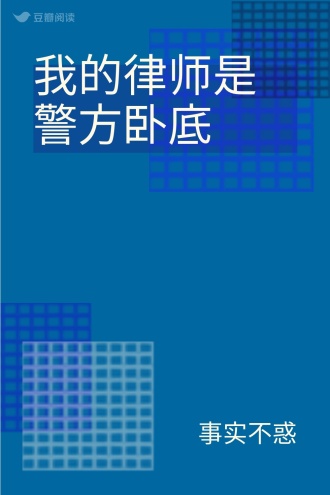 我的律师是警方卧底