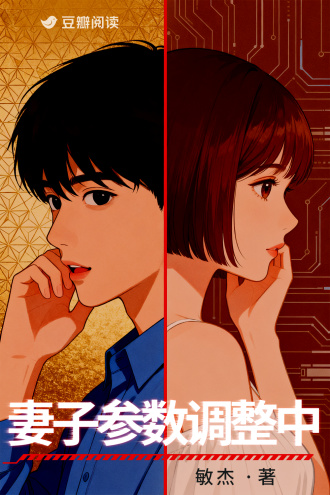 妻子参数调整中