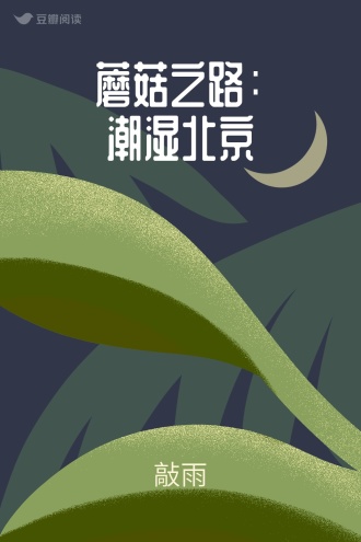 蘑菇之路：潮湿北京