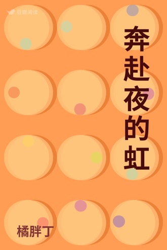 奔赴夜的虹