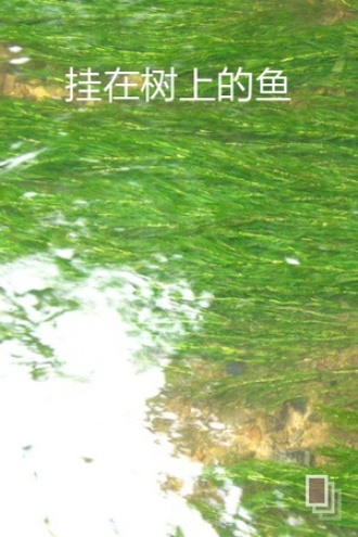 挂在树上的鱼